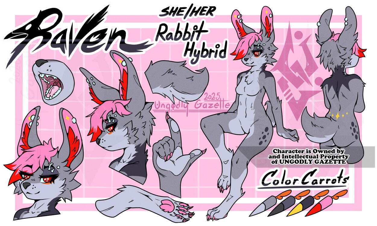 Raven - Personal Fursona